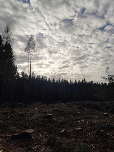 Planina