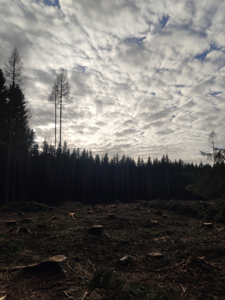 Planina