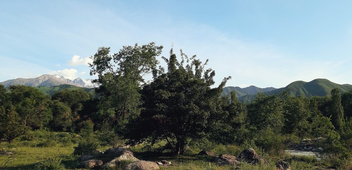 mountains