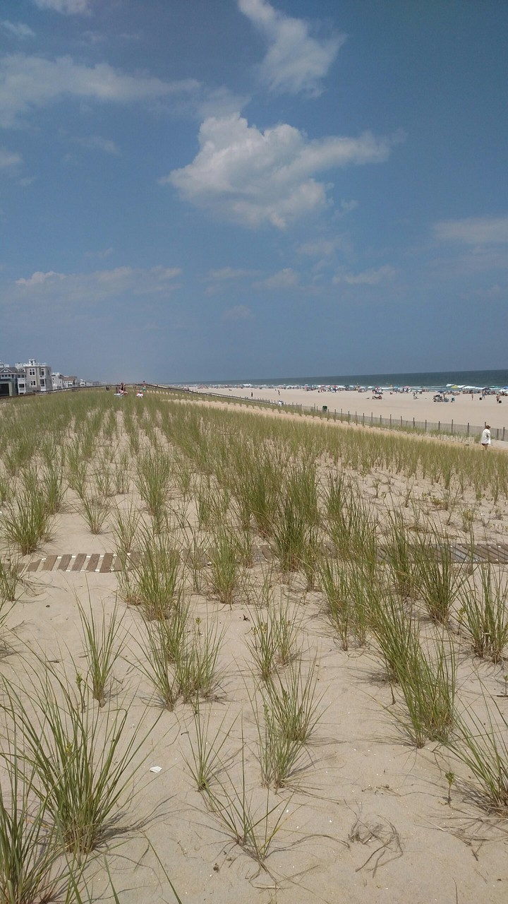 dunes