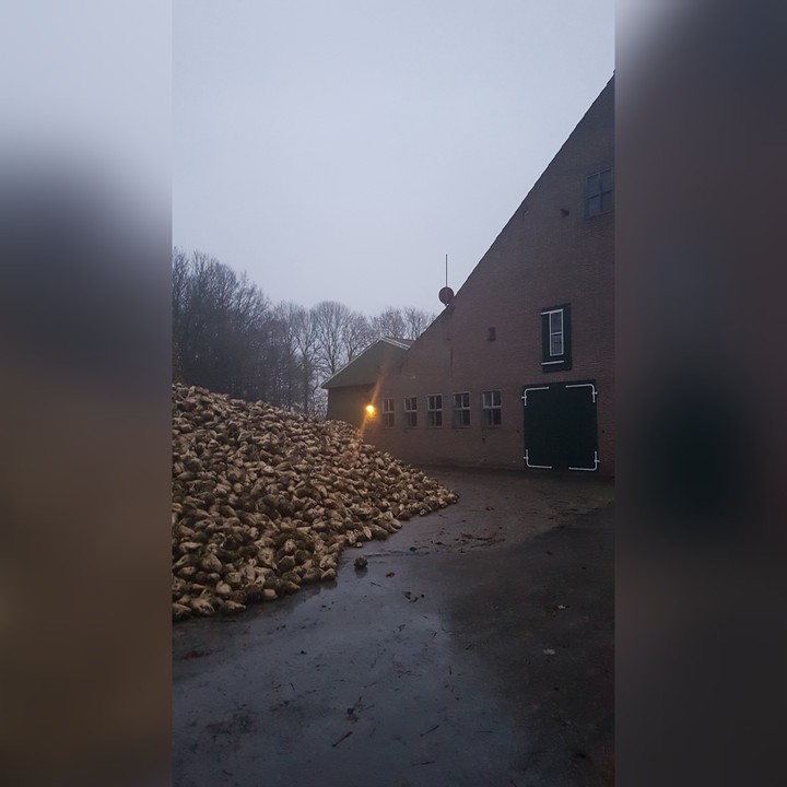 farmlife