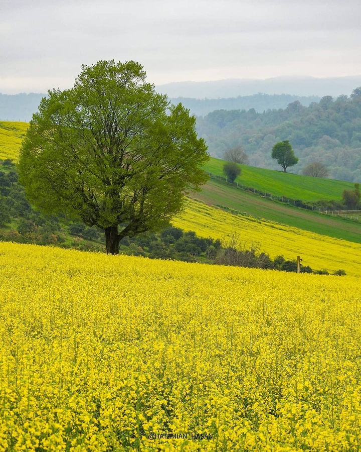 Mazandaran Nature