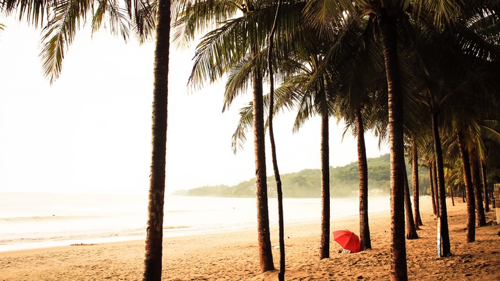 Tropical rain