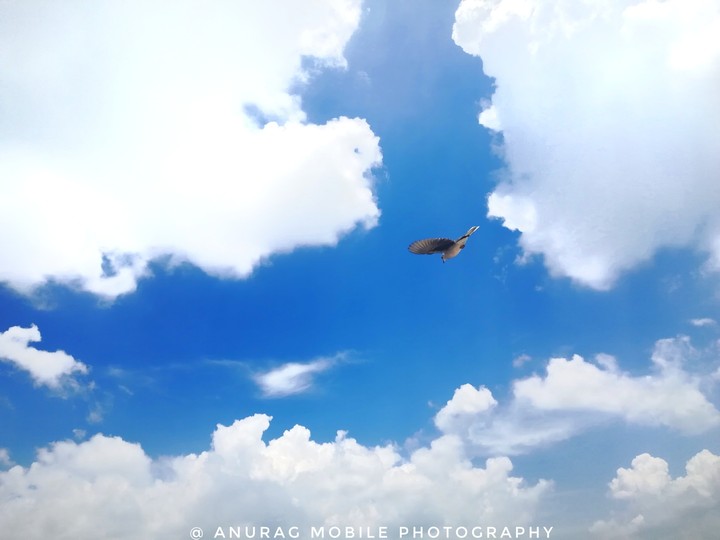 Wallpaper photography