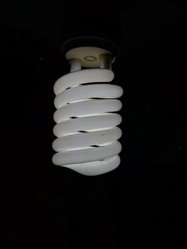 A CFL