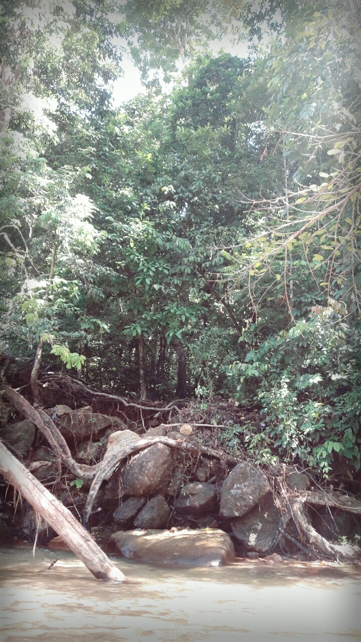 beautiful nature
