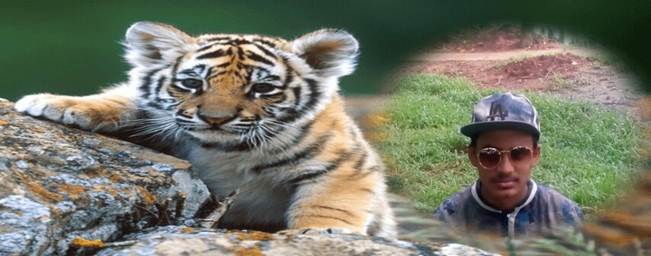 SALMAN