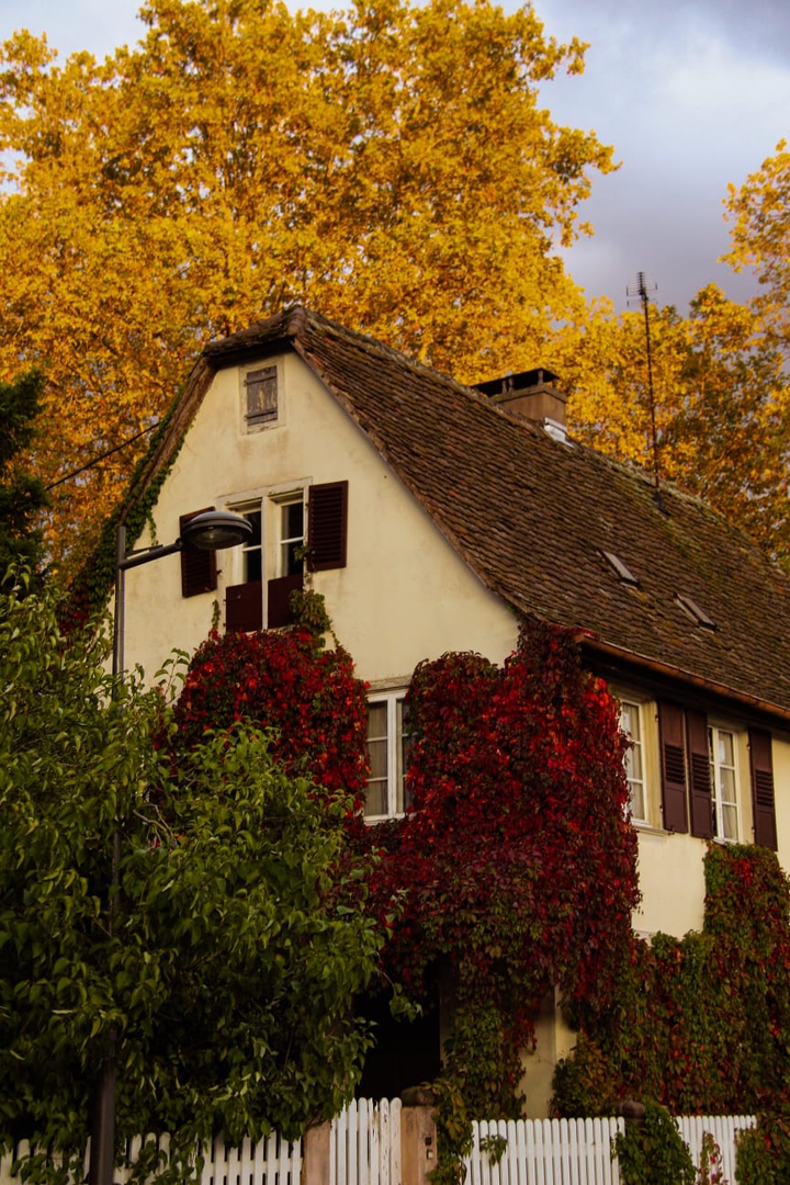Nostalgic Colors and peace