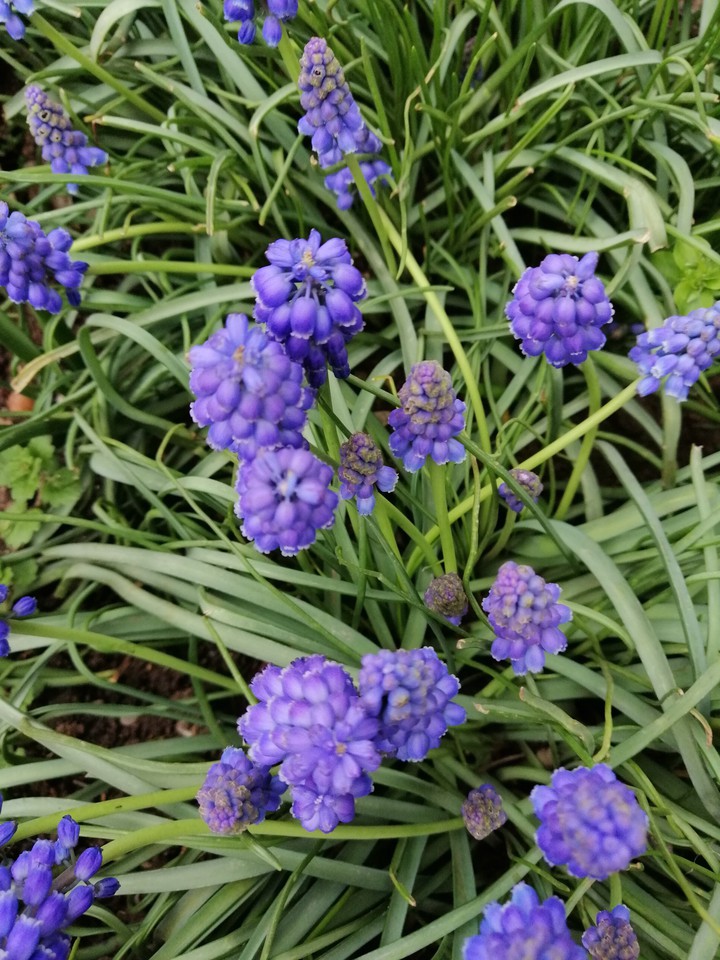 what is names ?