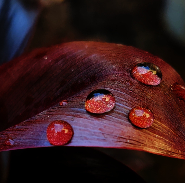 Droplets