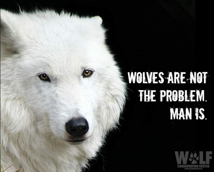 Truth