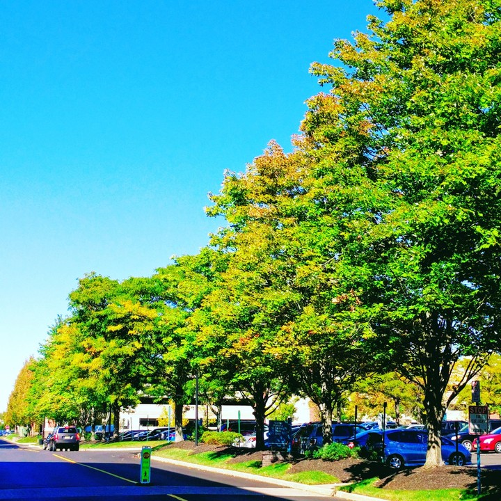 sunny day