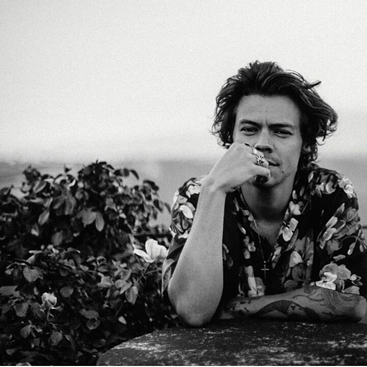 Harry Styles