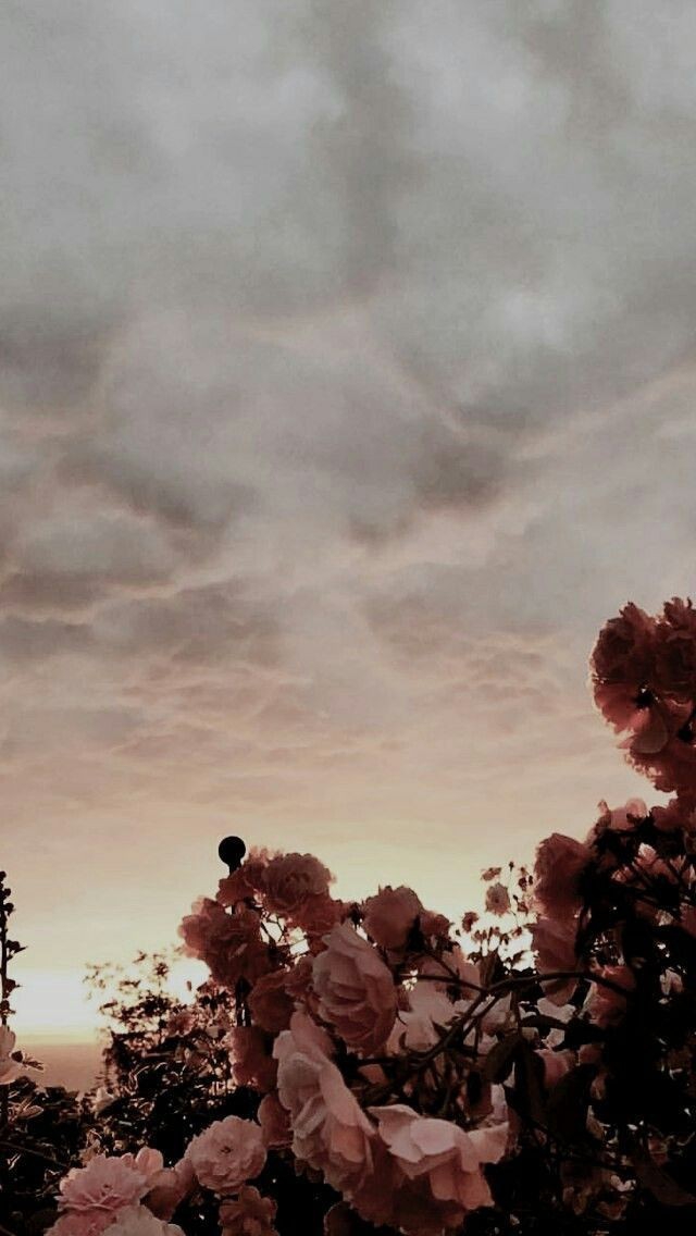 &