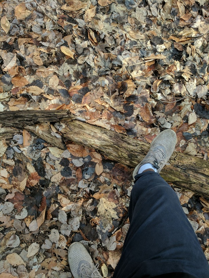Alphas on a walk