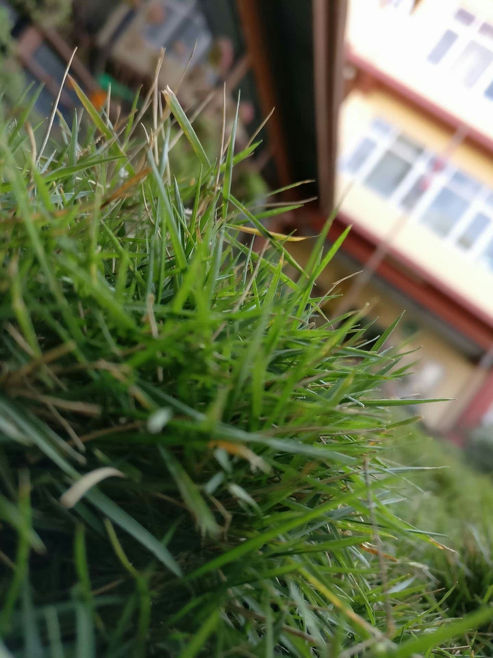 Nature ❤