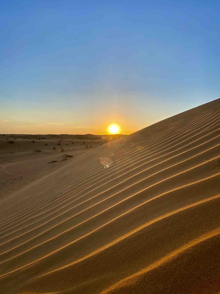 Desert Sunset