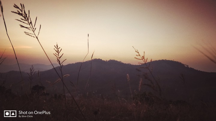 #sakleshpur