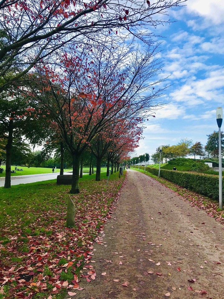 Beautiful Netherlands