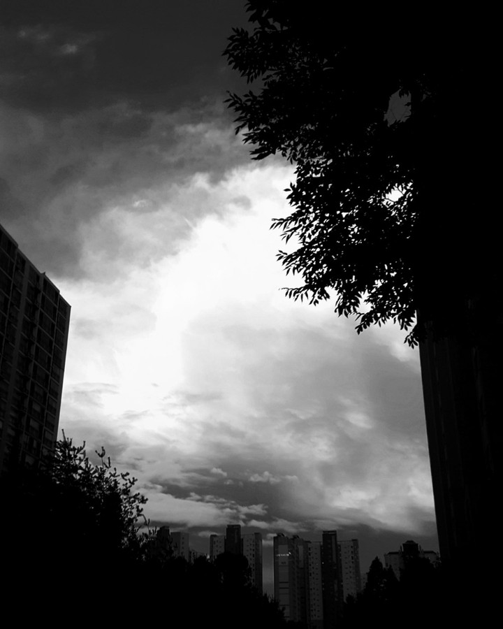 dark