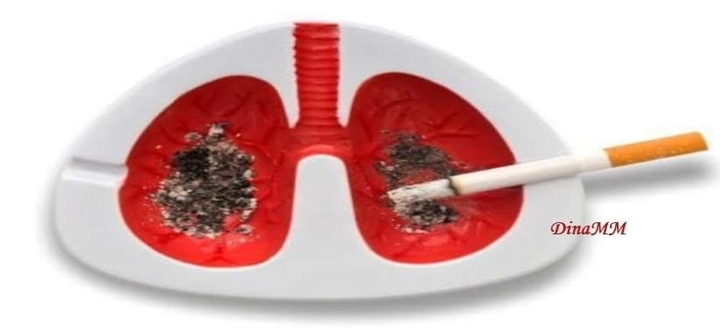 não tabaco