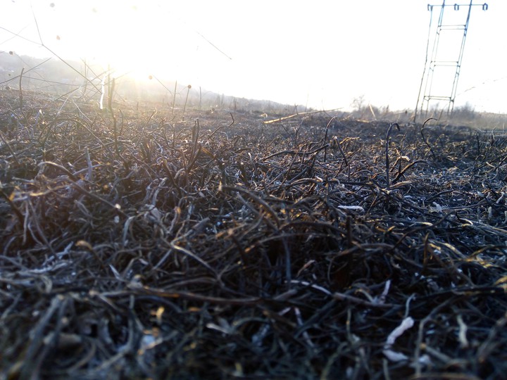 after the fire