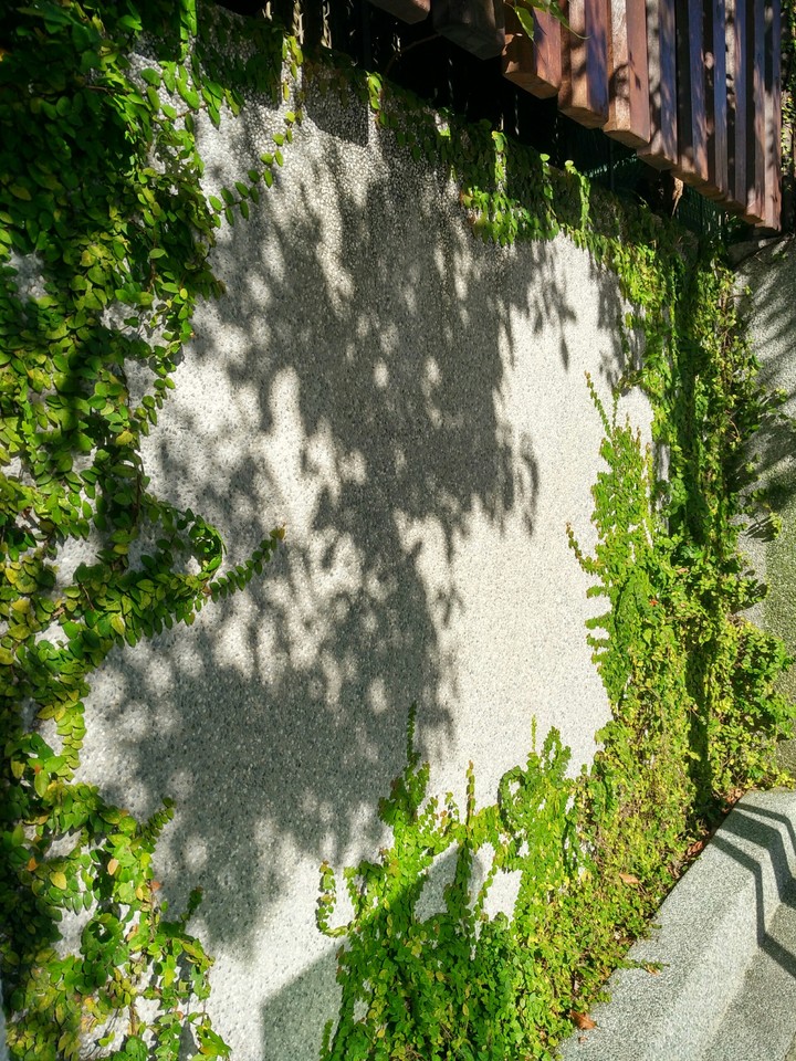 The British Consulate at Takao wall