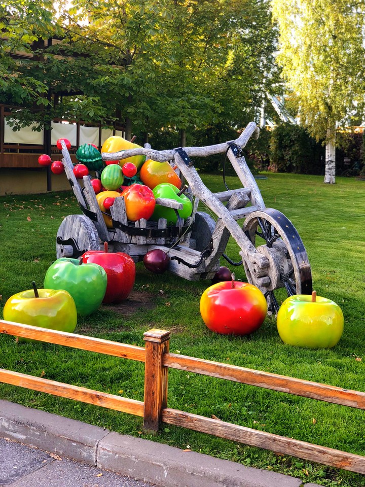 Appel fruits