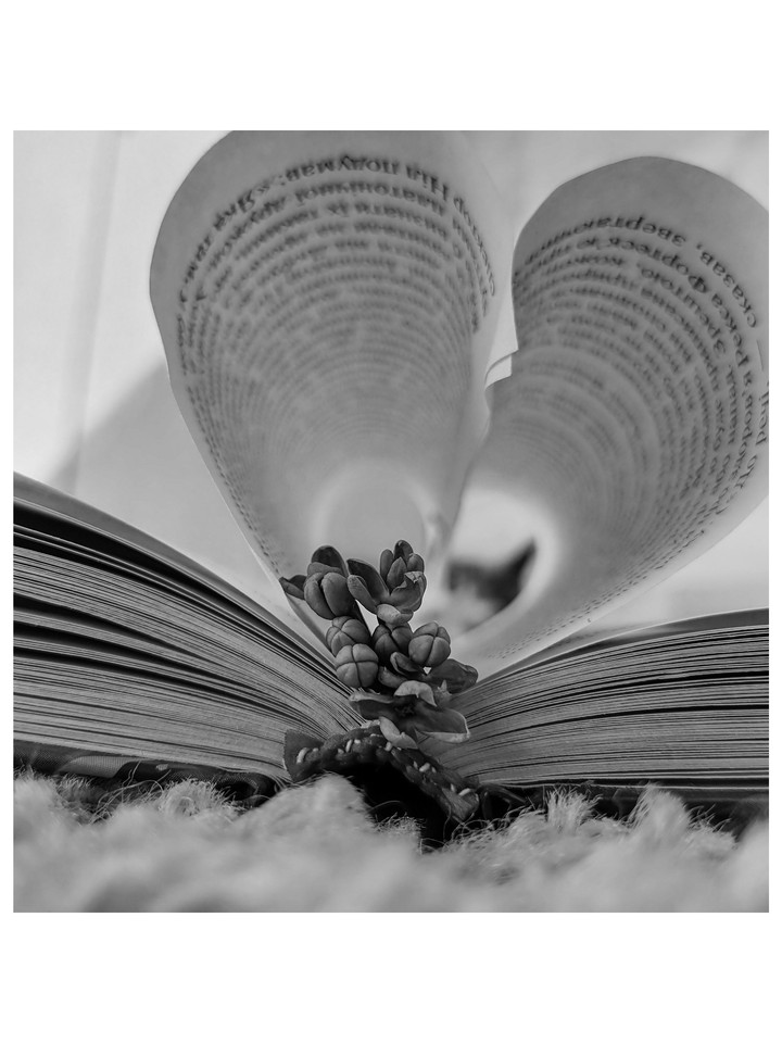 book