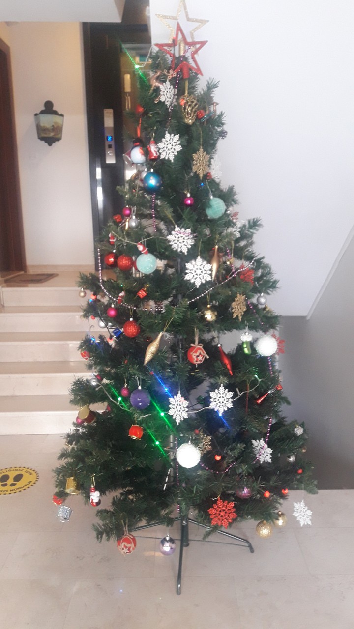 christmis