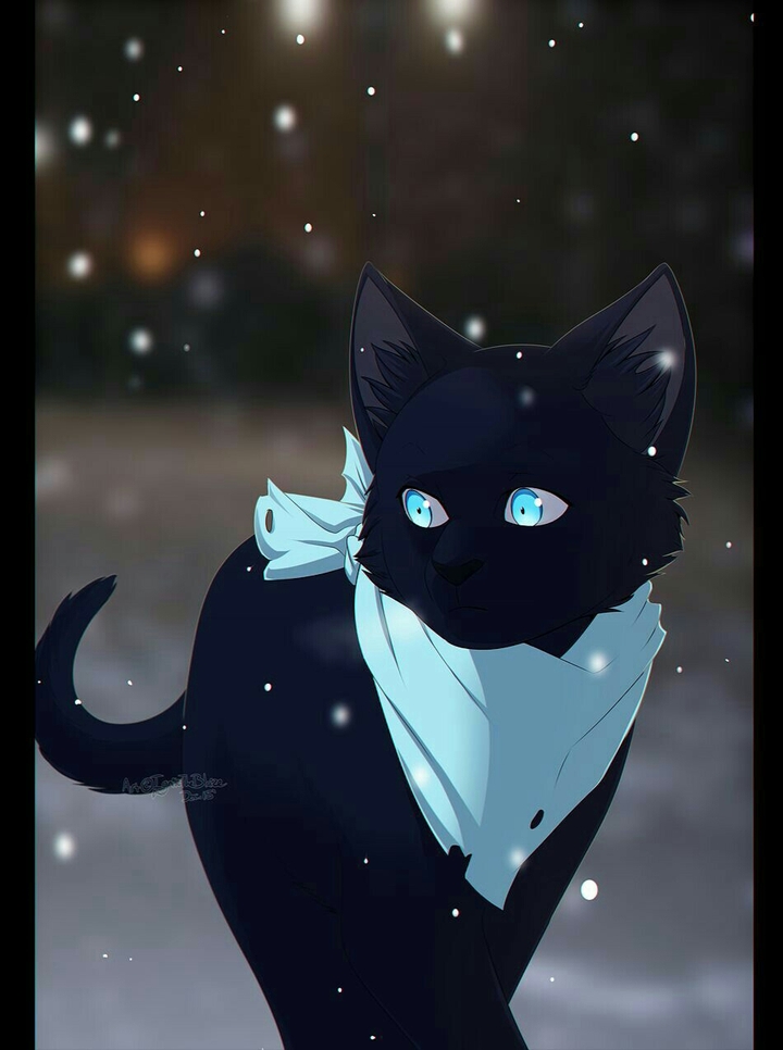 Noragami