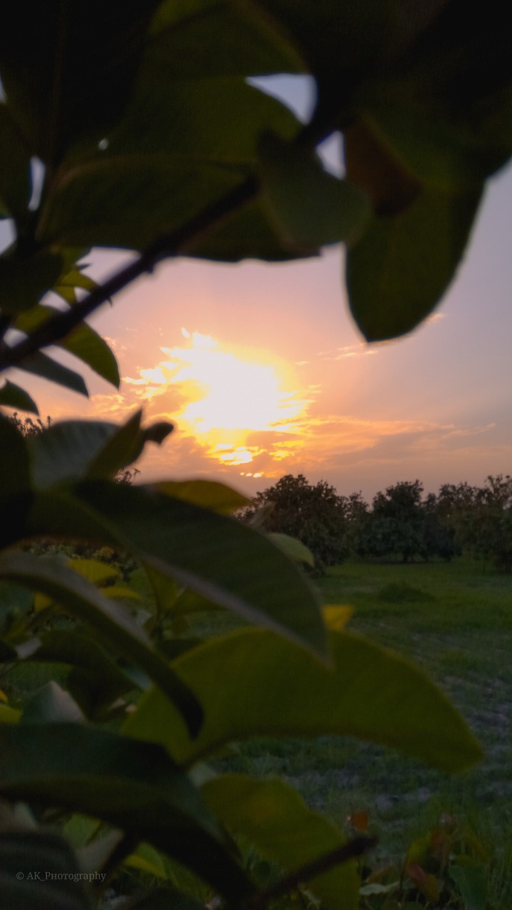 Nature
