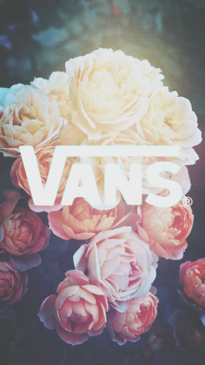 Vans/Znana marka