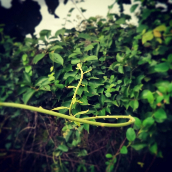 While walking