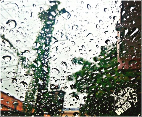 rain yo rain....come again....