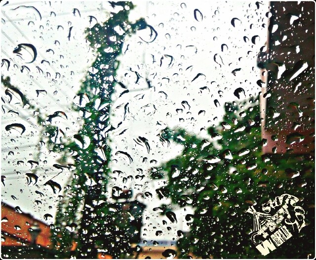 rain yo rain....come again....