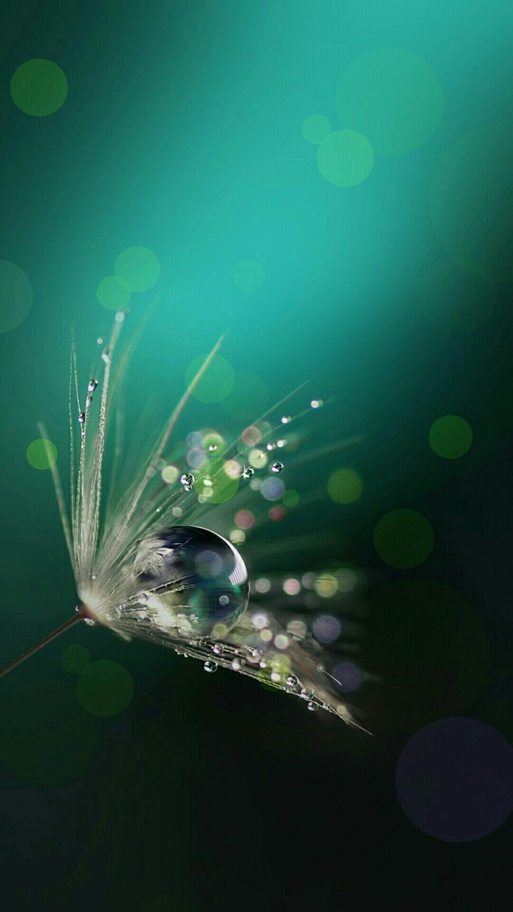 drop