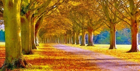 nature