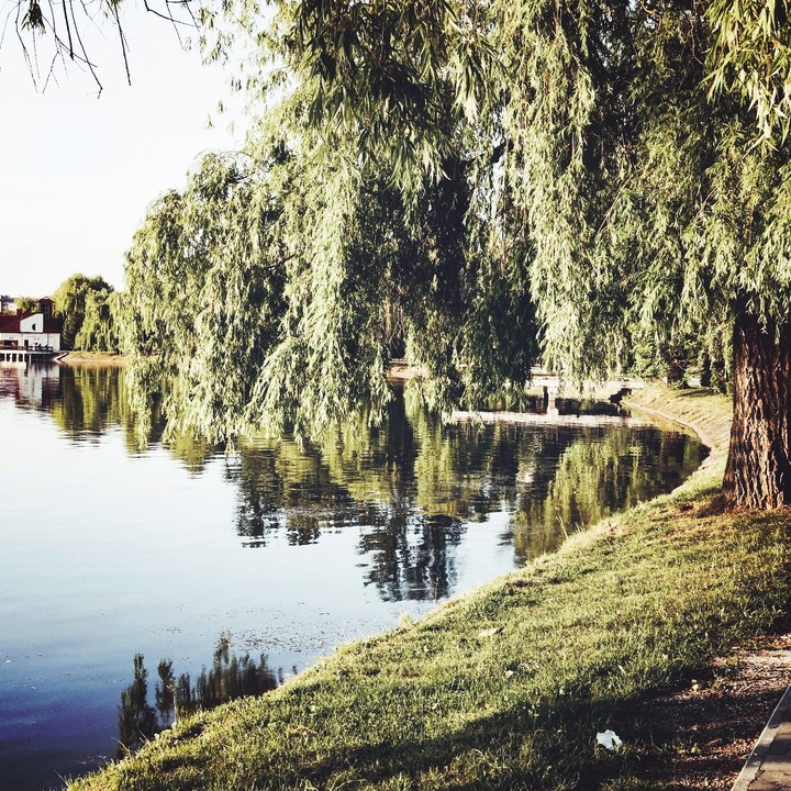 nature