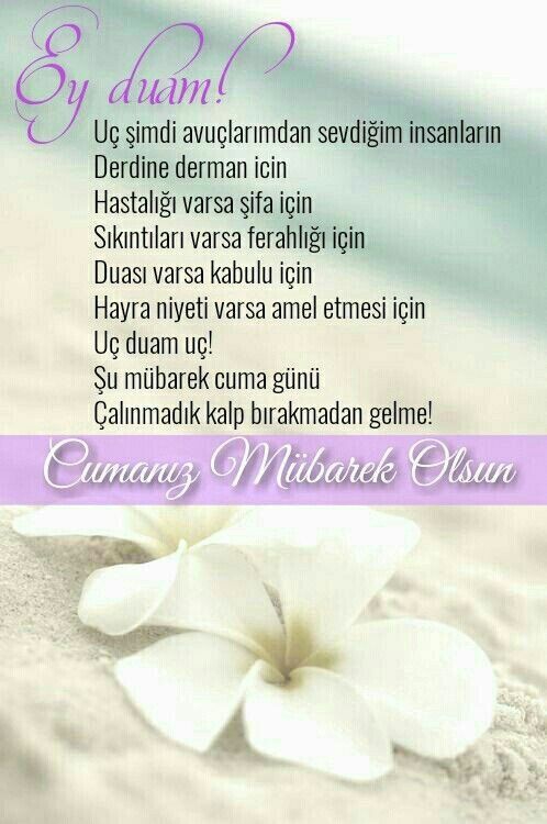 Amin