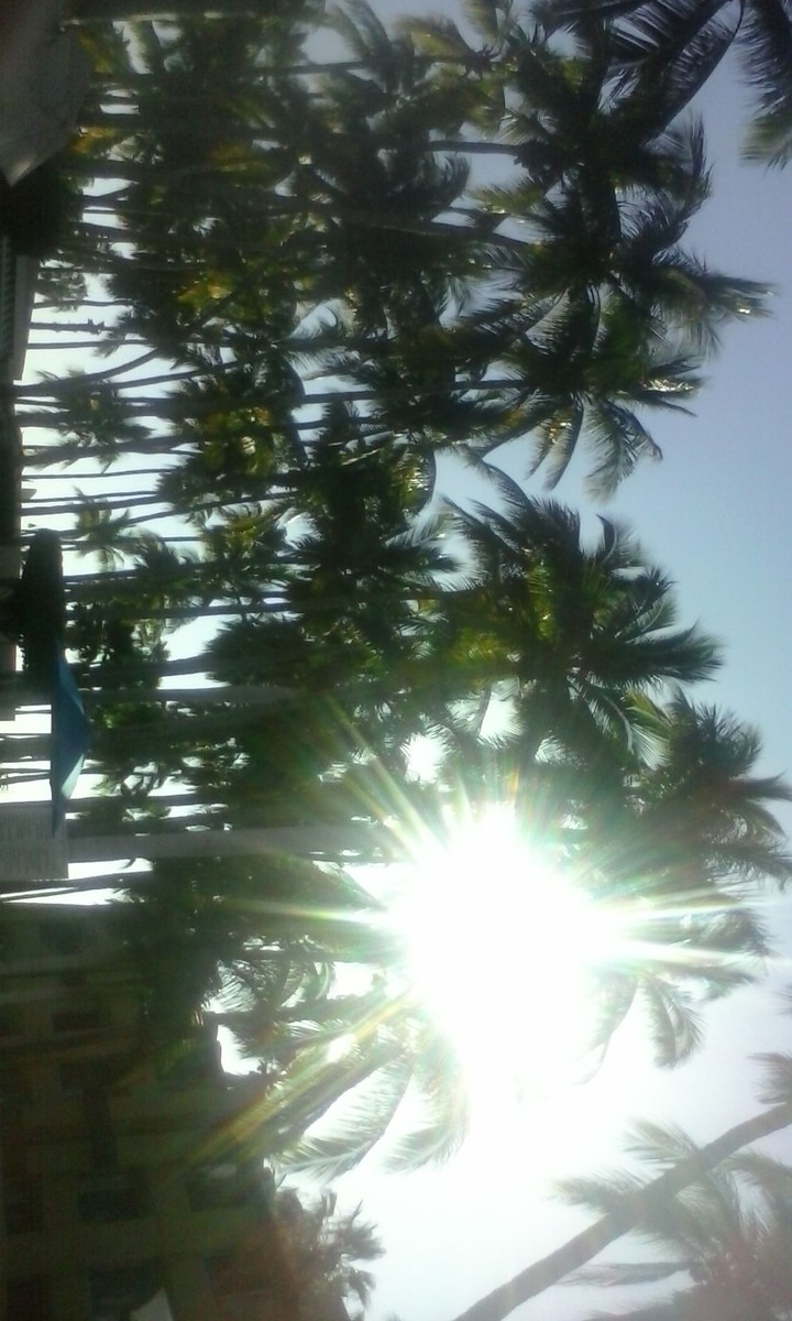 los cabos