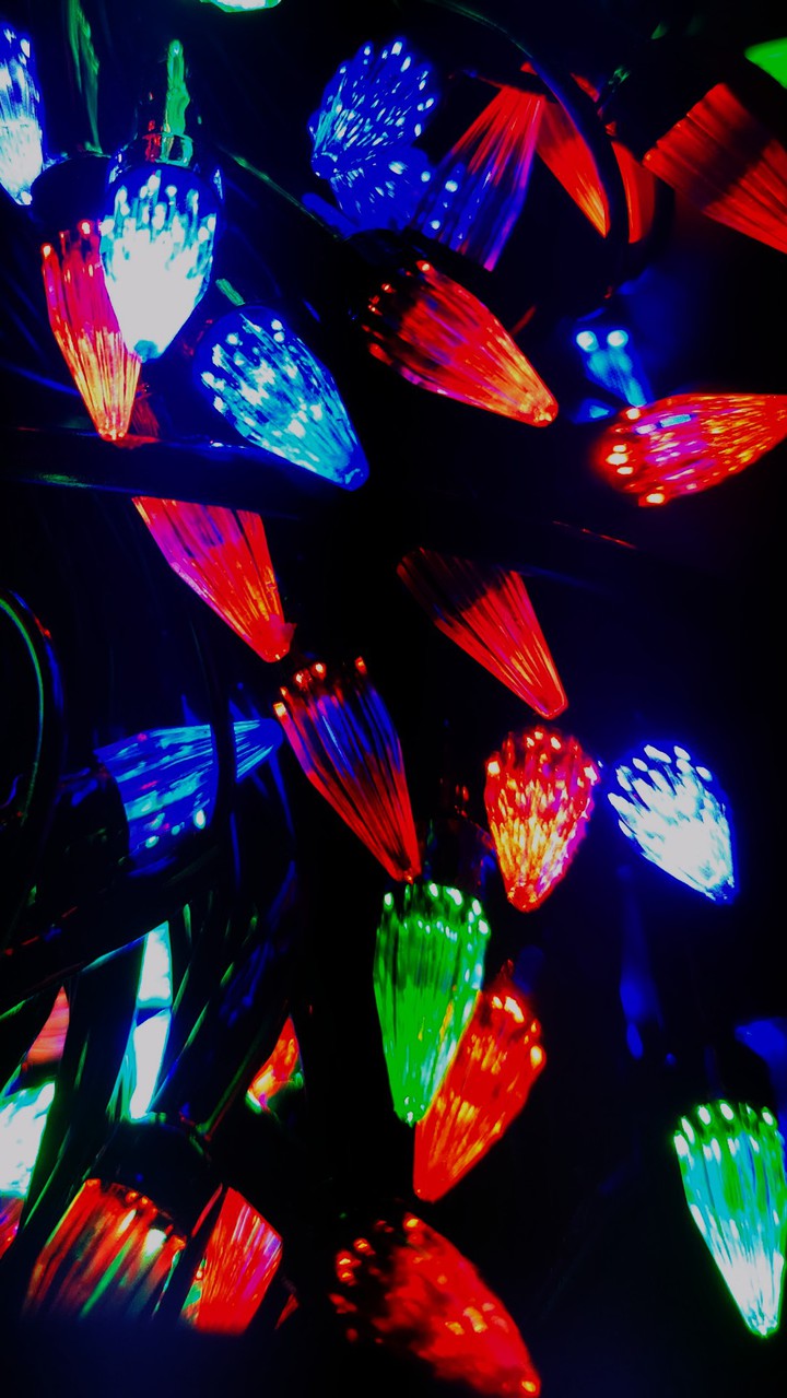 christmas lights