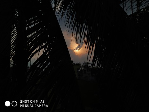 evening