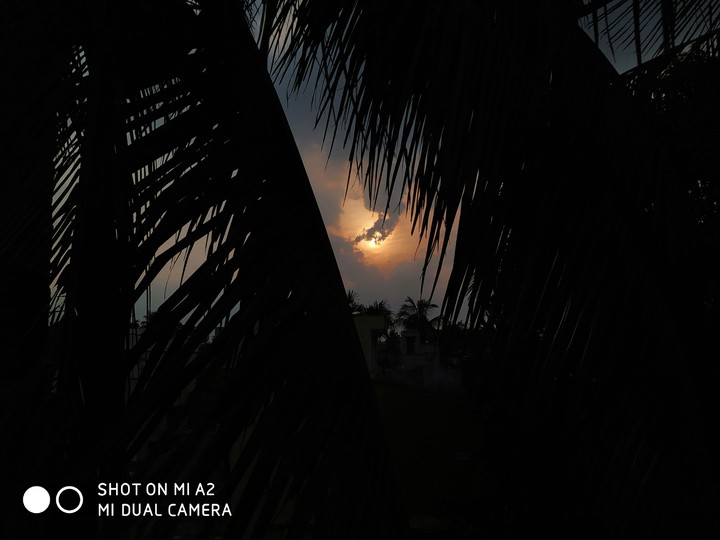 evening