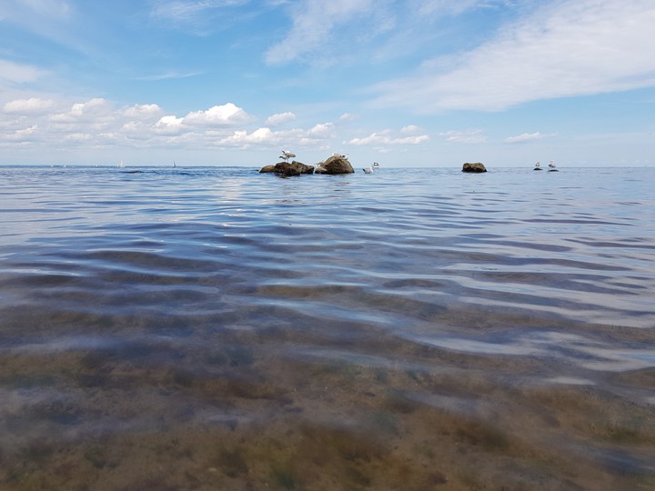 sea