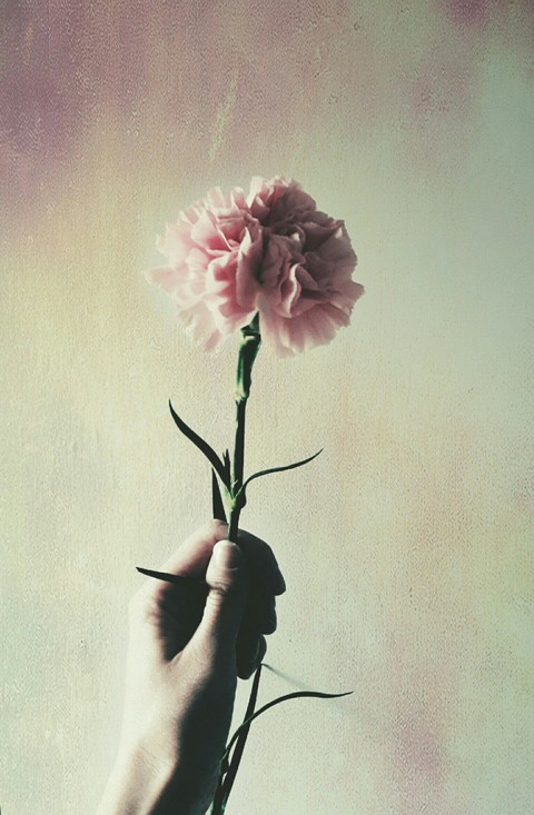 in my hand
