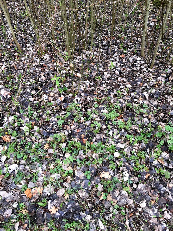patterns