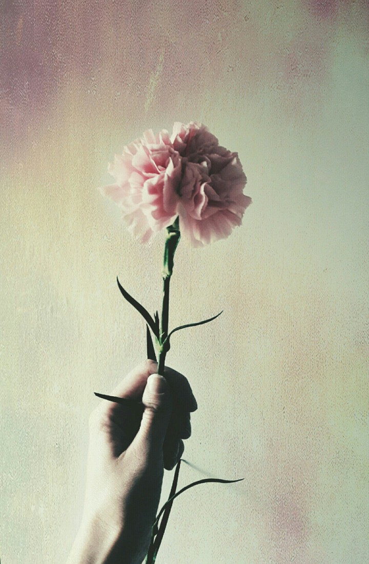 in my hand
