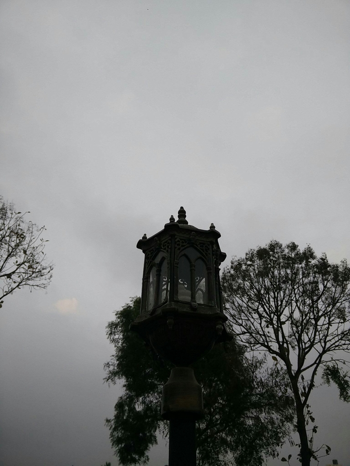 Rise above all