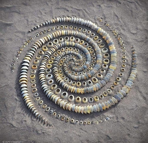 fondos de pantalla millipedes, Worm